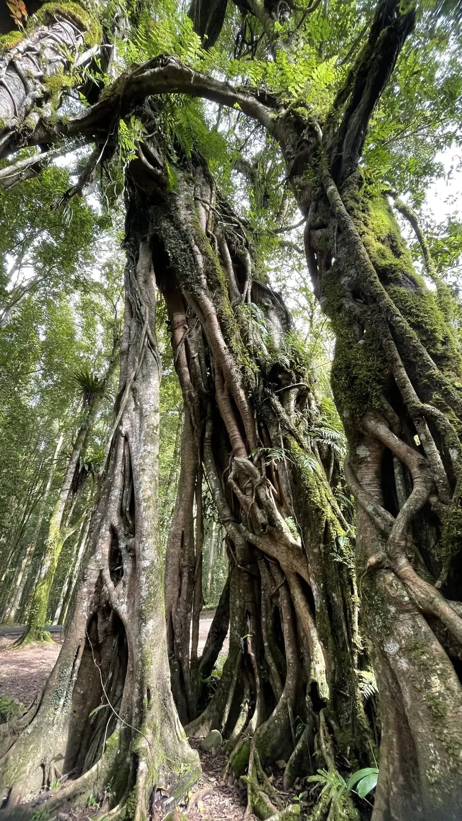 自然风光