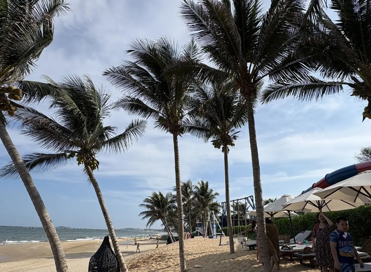 海滩与海岸